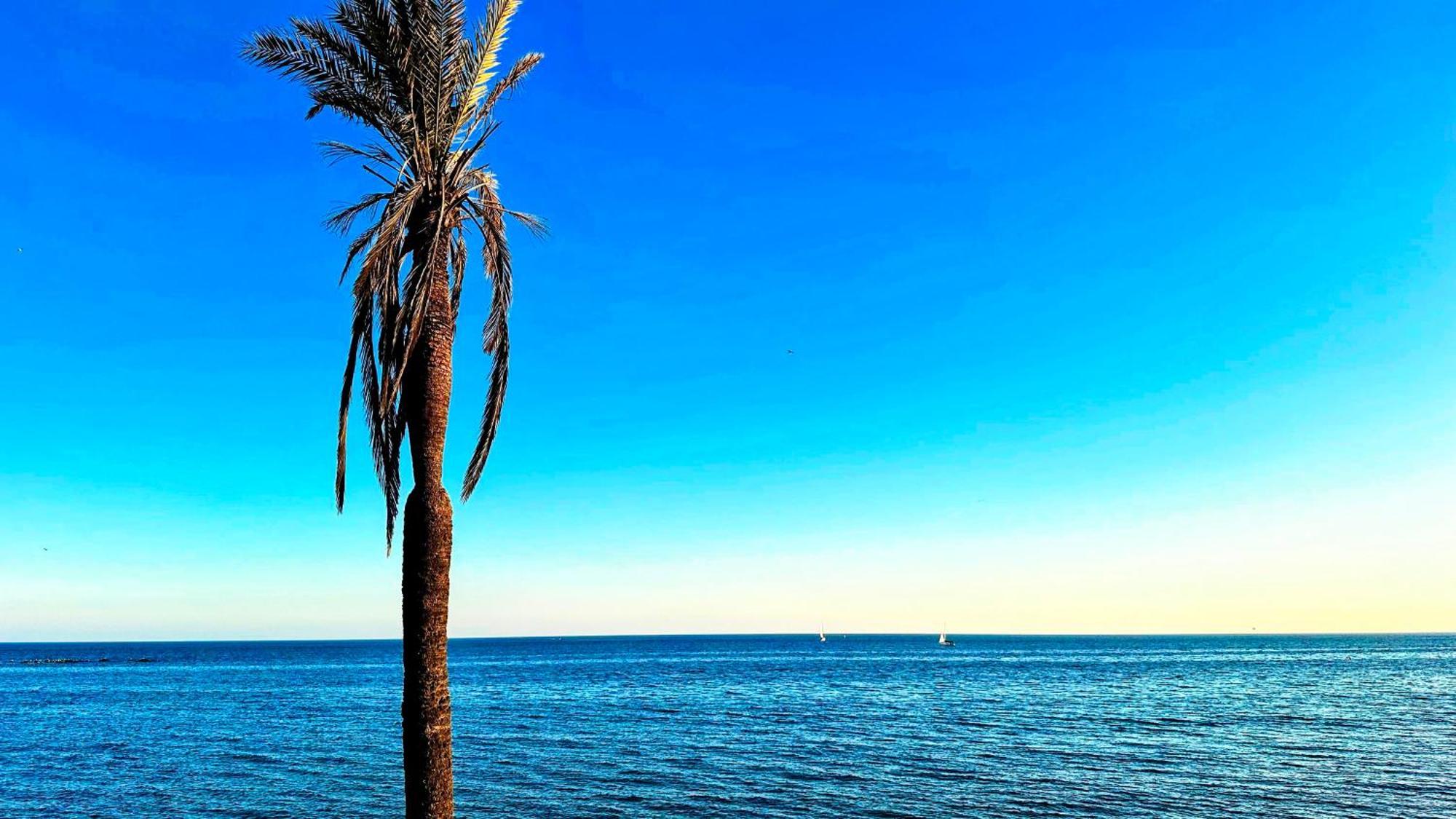 Estudio Francisco Agata Benalmádena Exteriör bild